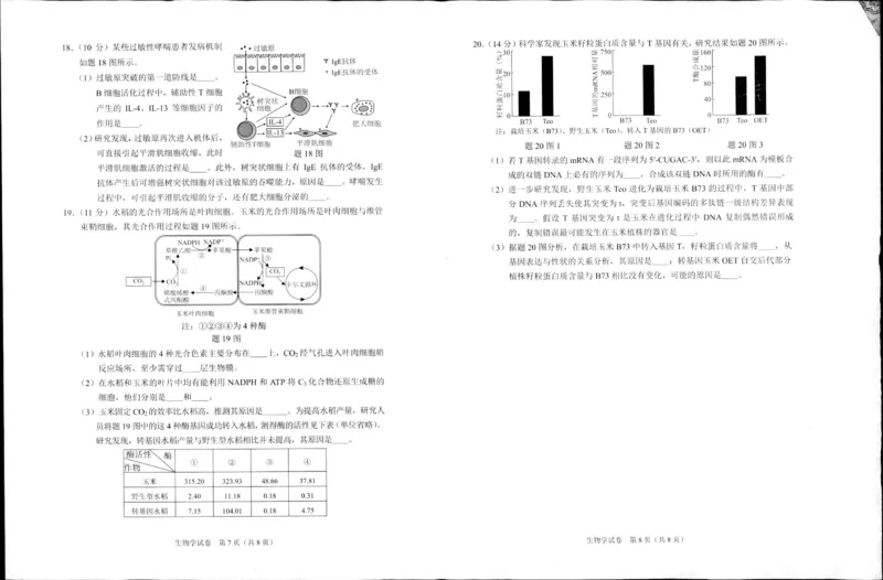 重庆市2024高考副科题型变化3月抽样统测考试生物(1)_2024年3月_013月合集_2024届重庆市高考副科题型变化3月抽样统测考试