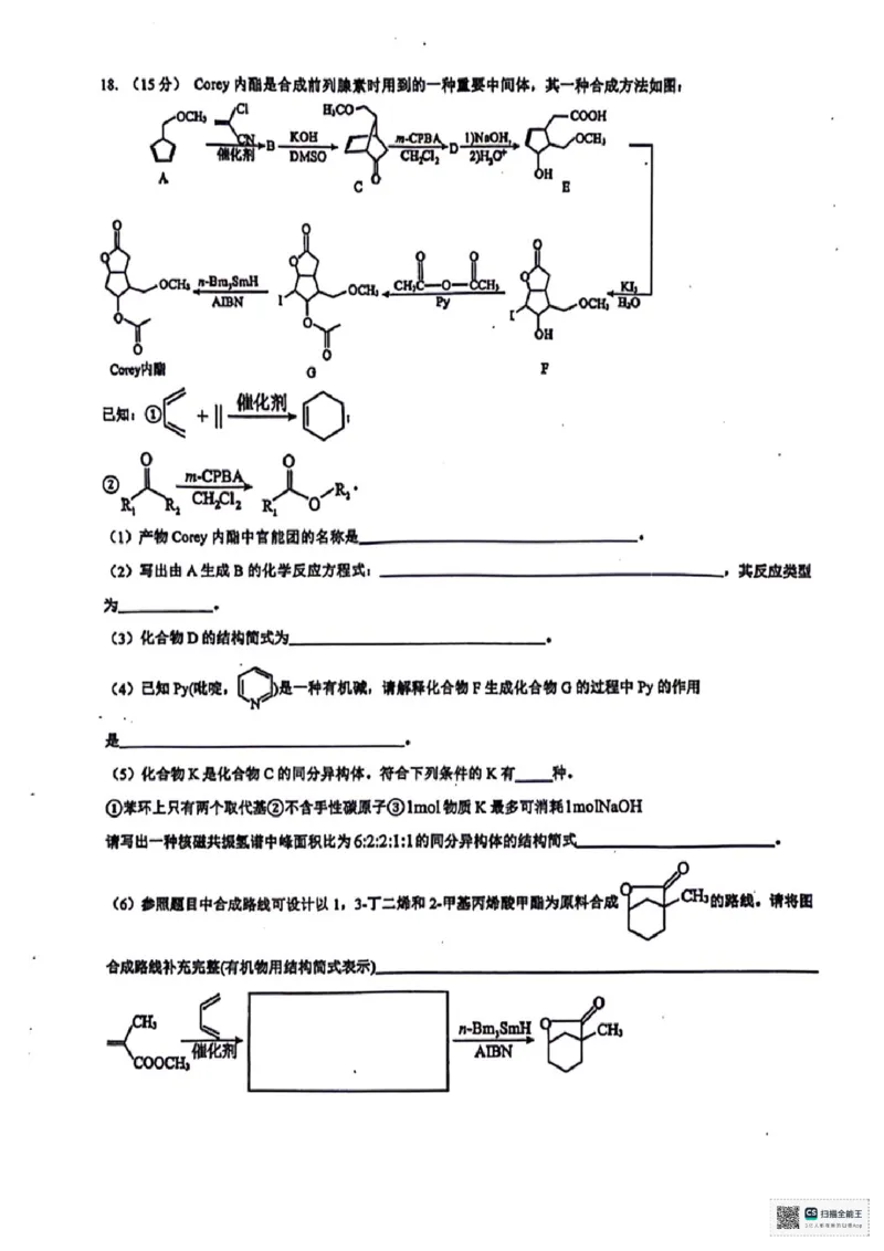 广西南宁市第二中学2024-2025学年高三上学期11月月考化学_2024-2025高三（6-6月题库）_2024年12月试卷_1207广西南宁市第二中学2024-2025学年高三上学期11月月考
