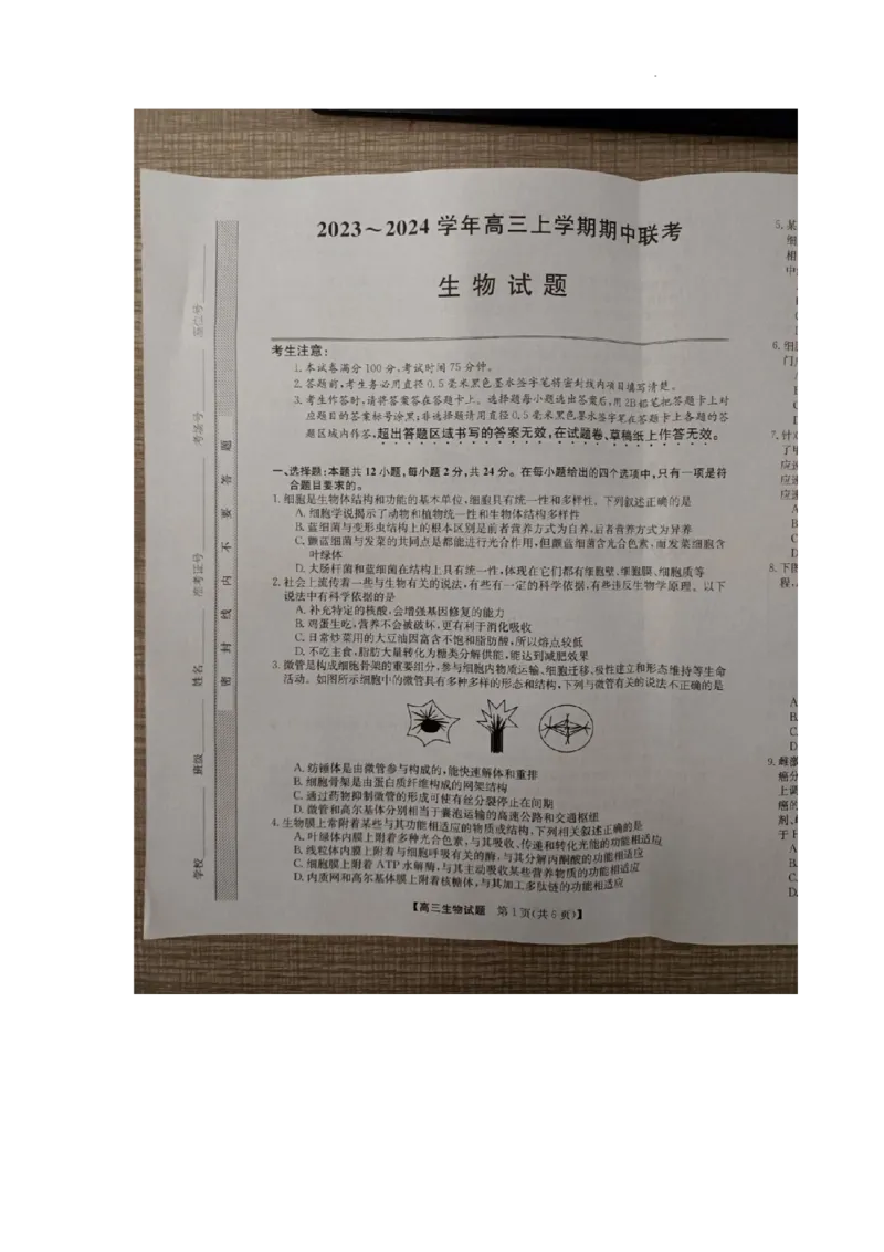 安徽省亳州市蒙城县2023&mdash;2024学年高三上学期期中联考生物(1)_2023年11月_0211月合集_2024届安徽省亳州市蒙城县五校联考高三上学期11月期中考试