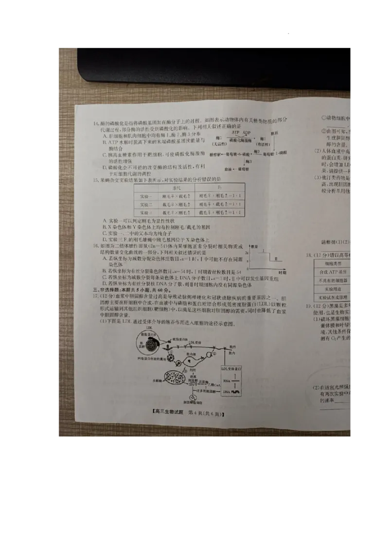 安徽省亳州市蒙城县2023&mdash;2024学年高三上学期期中联考生物(1)_2023年11月_0211月合集_2024届安徽省亳州市蒙城县五校联考高三上学期11月期中考试