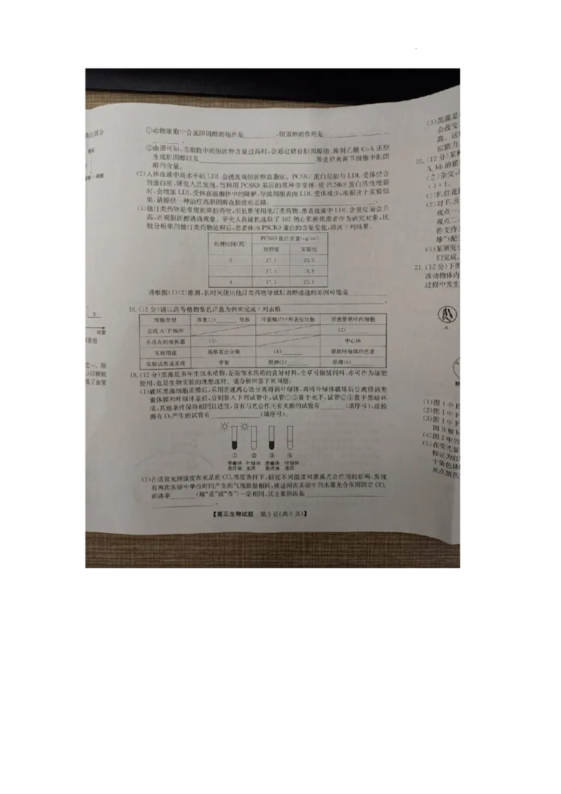 安徽省亳州市蒙城县2023&mdash;2024学年高三上学期期中联考生物(1)_2023年11月_0211月合集_2024届安徽省亳州市蒙城县五校联考高三上学期11月期中考试