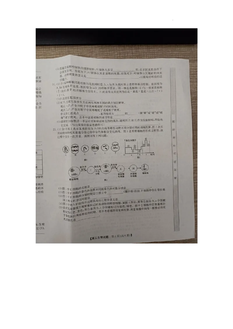 安徽省亳州市蒙城县2023&mdash;2024学年高三上学期期中联考生物(1)_2023年11月_0211月合集_2024届安徽省亳州市蒙城县五校联考高三上学期11月期中考试