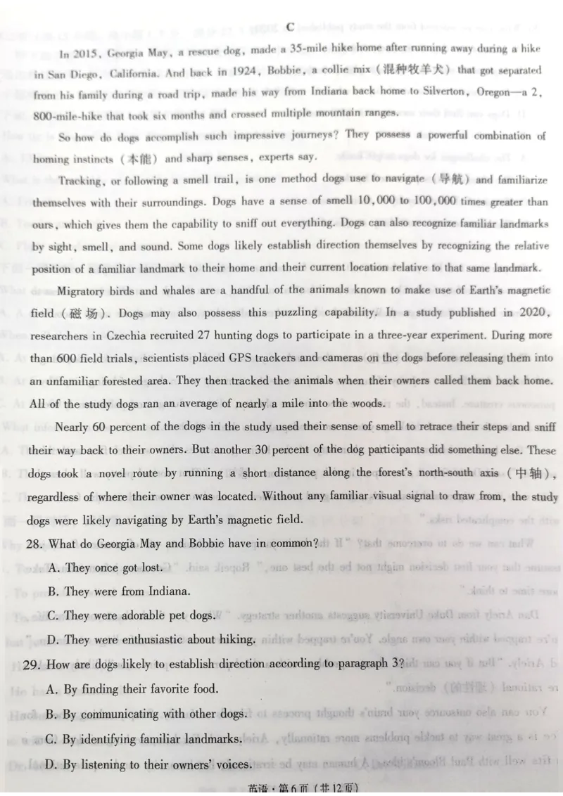 云南省昭通市2025届高三上学期1月毕业生诊断性检测英语_2024-2025高三（6-6月题库）_2025年02月试卷_0201云南省昭通市2025届高三上学期1月毕业生诊断性检测（全科）