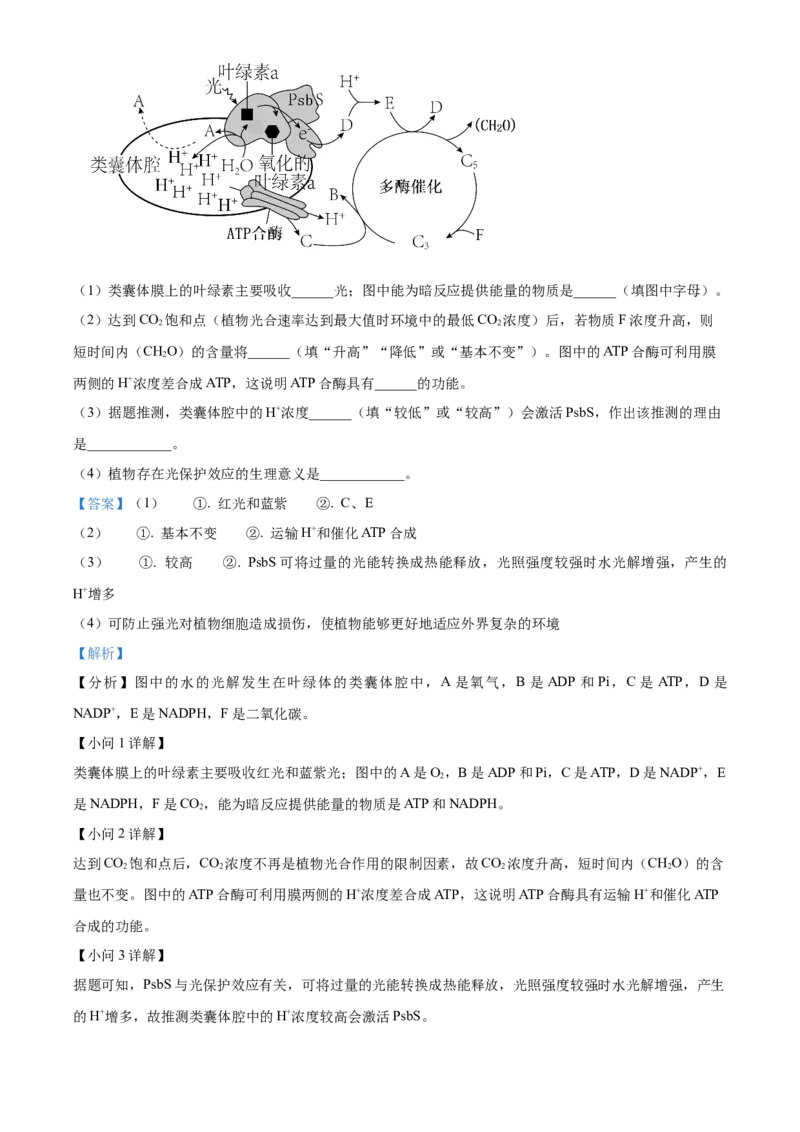安徽省亳州市2024-2025学年高二上学期期末生物试卷Word版含解析_2024-2025高二（7-7月题库）_2025年03月试卷_0312安徽省亳州市2024-2025学年高二上学期期末考试