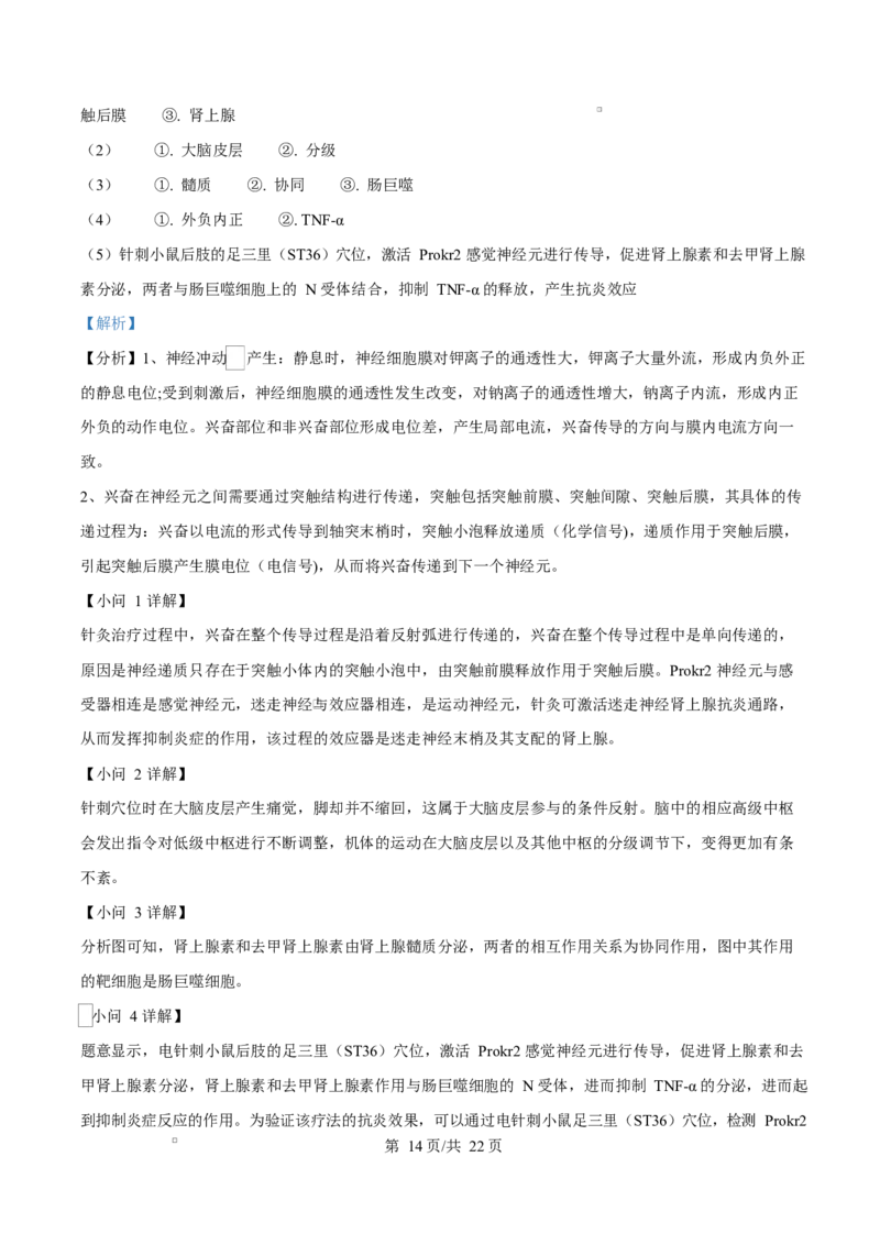 江苏省盐城市五校联考2024-2025学年高二上学期1月期末生物试题Word版含解析_2024-2025高二（7-7月题库）_2025年02月试卷_0213江苏省盐城市五校联考2024-2025学年高二上学期1月期末考试