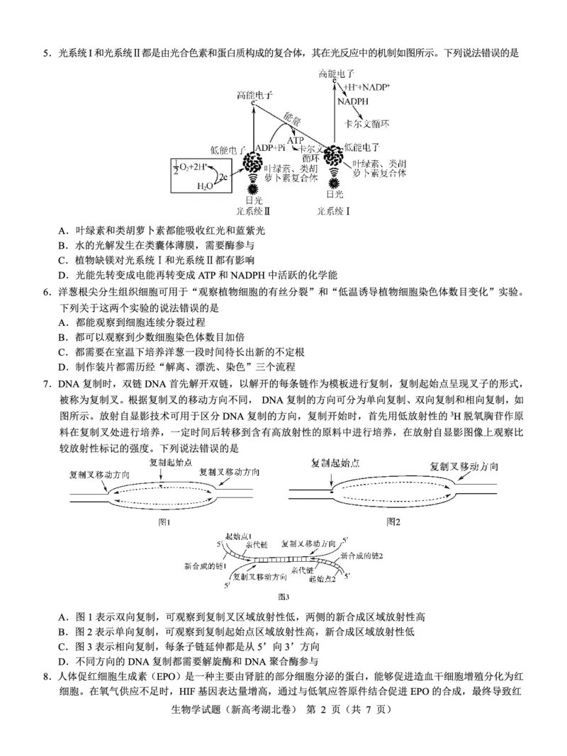 湖北省名校联考2023-2024学年高三上学期11月期中考试生物试题(1)_2023年11月_0211月合集_2024届湖北省名校联考高三上学期11月期中考试
