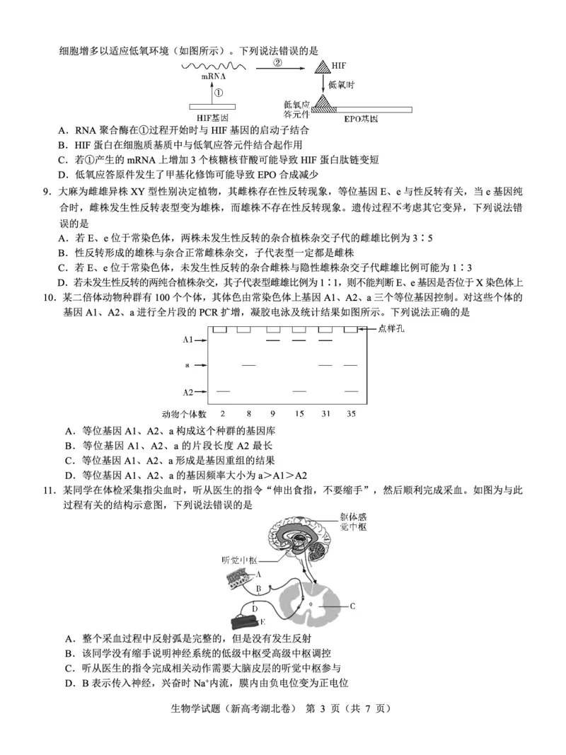 湖北省名校联考2023-2024学年高三上学期11月期中考试生物试题(1)_2023年11月_0211月合集_2024届湖北省名校联考高三上学期11月期中考试
