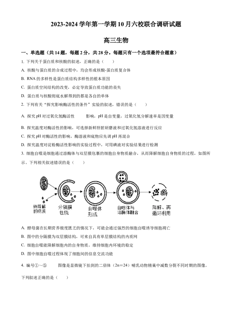 精品解析：江苏省南京市六校联合体2023-2024学年高三10月联合调研生物试题（原卷版）(1)_2023年11月_0211月合集_2024届江苏省南京市六校联合体高三上学期10月联合调研