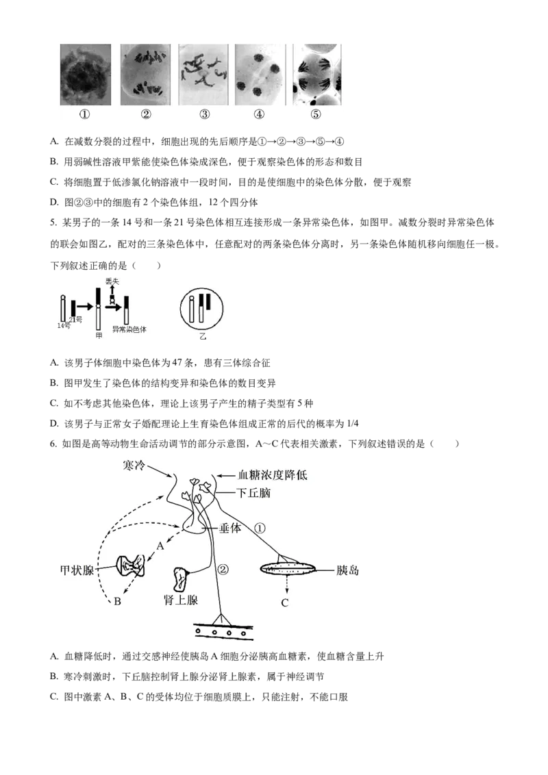精品解析：江苏省南京市六校联合体2023-2024学年高三10月联合调研生物试题（原卷版）(1)_2023年11月_0211月合集_2024届江苏省南京市六校联合体高三上学期10月联合调研