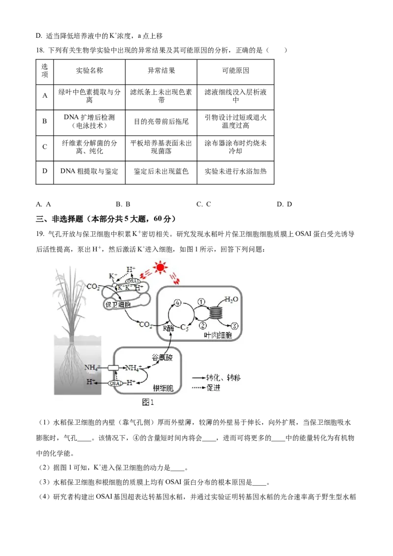 精品解析：江苏省南京市六校联合体2023-2024学年高三10月联合调研生物试题（原卷版）(1)_2023年11月_0211月合集_2024届江苏省南京市六校联合体高三上学期10月联合调研
