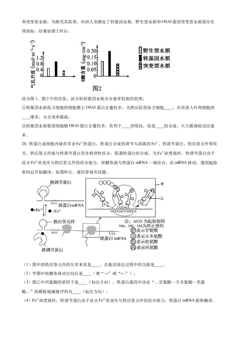 精品解析：江苏省南京市六校联合体2023-2024学年高三10月联合调研生物试题（原卷版）(1)_2023年11月_0211月合集_2024届江苏省南京市六校联合体高三上学期10月联合调研