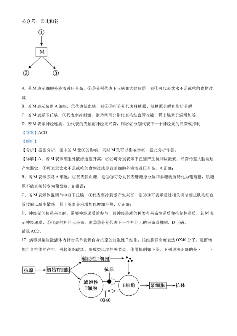 江苏省扬州市高邮市2024-2025学年高二上学期11月期中生物试题Word版含解析_2024-2025高二（7-7月题库）_2024年12月试卷_1226江苏省扬州市高邮市2024-2025学年高二上学期11月期中考试