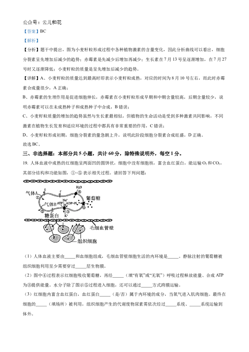 江苏省扬州市高邮市2024-2025学年高二上学期11月期中生物试题Word版含解析_2024-2025高二（7-7月题库）_2024年12月试卷_1226江苏省扬州市高邮市2024-2025学年高二上学期11月期中考试