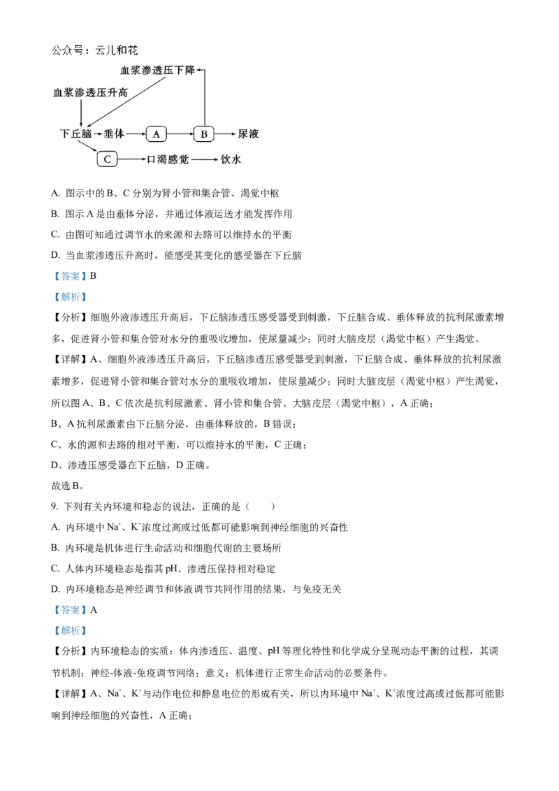 江苏省扬州市高邮市2024-2025学年高二上学期11月期中生物试题Word版含解析_2024-2025高二（7-7月题库）_2024年12月试卷_1226江苏省扬州市高邮市2024-2025学年高二上学期11月期中考试