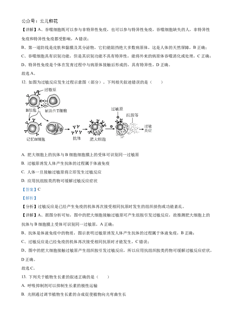 江苏省扬州市高邮市2024-2025学年高二上学期11月期中生物试题Word版含解析_2024-2025高二（7-7月题库）_2024年12月试卷_1226江苏省扬州市高邮市2024-2025学年高二上学期11月期中考试
