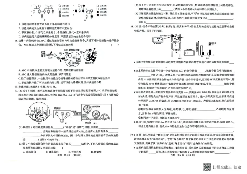 江西智学联盟体2024-2025学年高三9月质量检测生物试卷_2024-2025高三（6-6月题库）_2024年09月试卷_0930江西省智学联盟体2024-2025学年高三9月质量检测