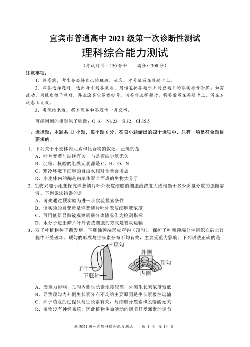 四川省宜宾市2023-2024学年高三上学期第一次教学质量诊断性考试理综(1)_2023年11月_0211月合集_2024届四川省宜宾市高三上学期第一次诊断性测试