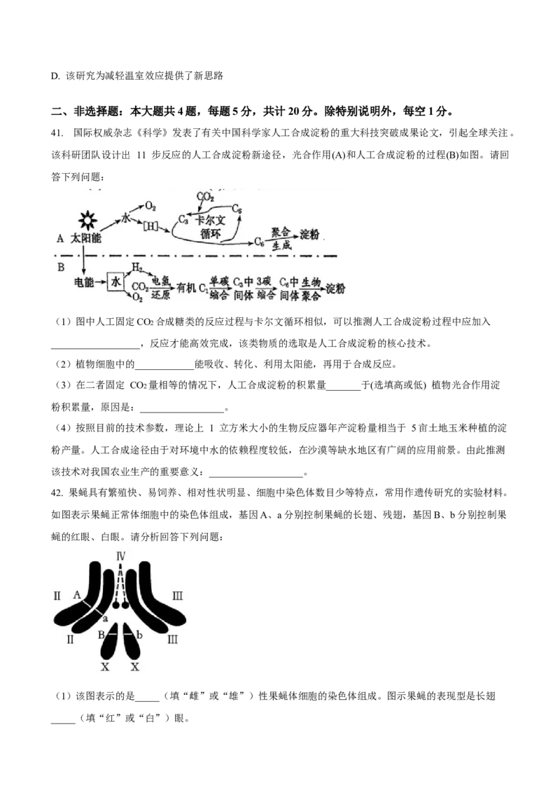 江苏省四市十一校联盟2024-2025学年高二上学期12月阶段联测生物试卷（有答案）_2024-2025高二（7-7月题库）_2025年01月试卷