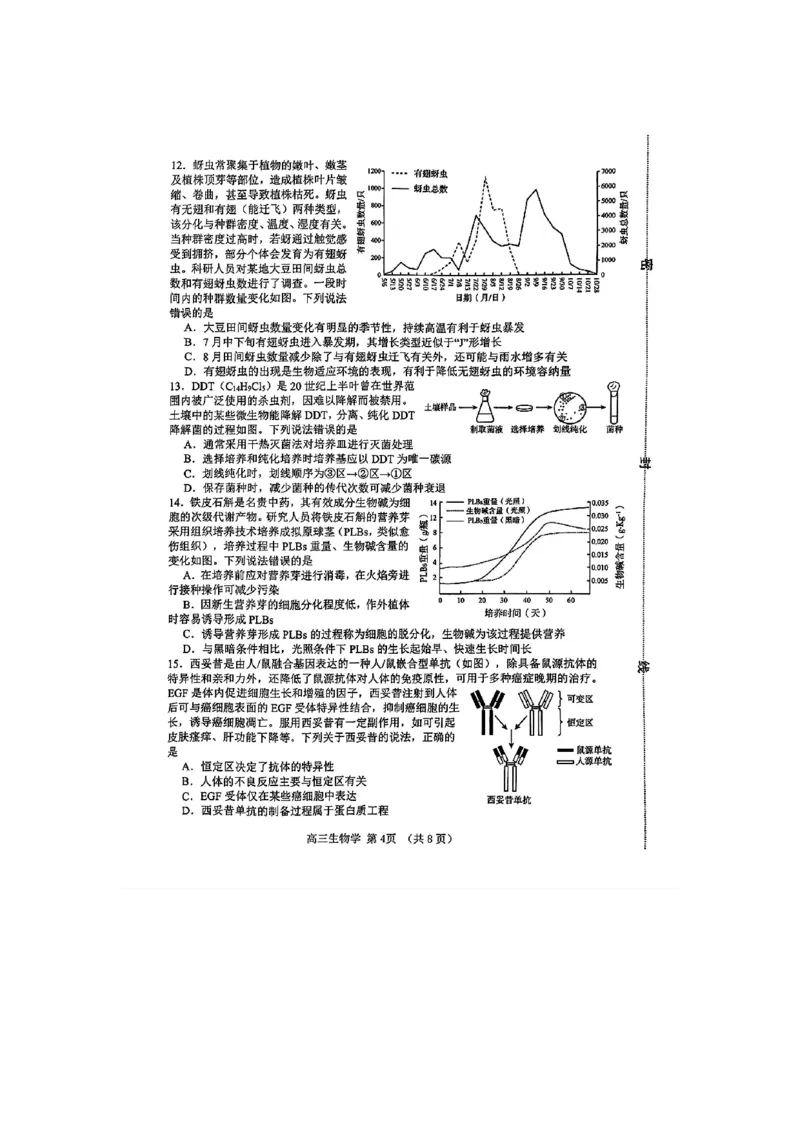 生物(1)_2024年5月_025月合集_2024届山东省淄博市高三下学期阶段性诊断（二模）