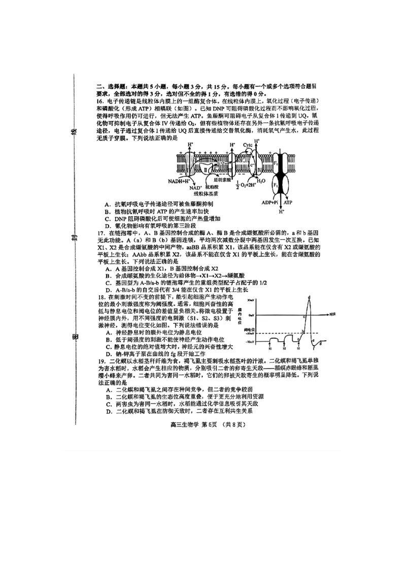 生物(1)_2024年5月_025月合集_2024届山东省淄博市高三下学期阶段性诊断（二模）