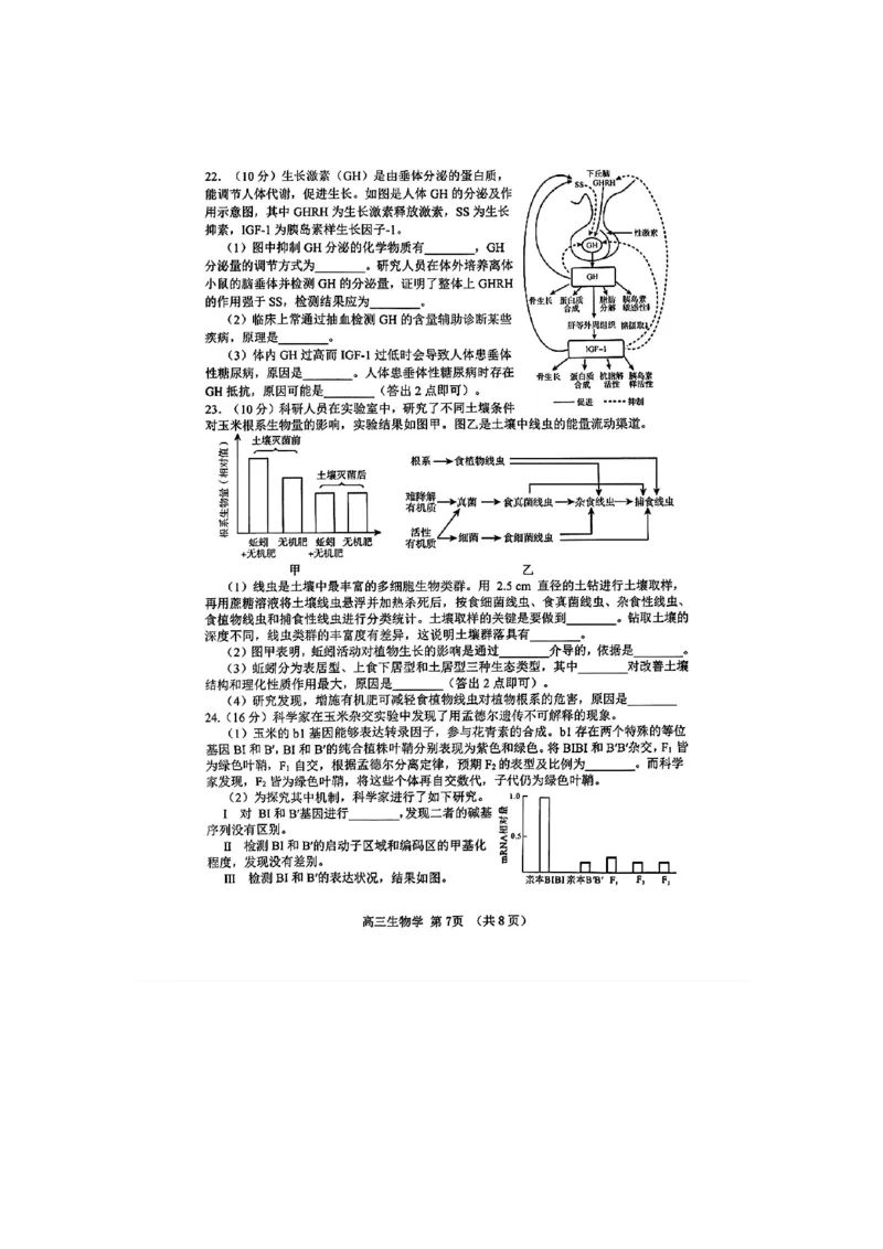 生物(1)_2024年5月_025月合集_2024届山东省淄博市高三下学期阶段性诊断（二模）