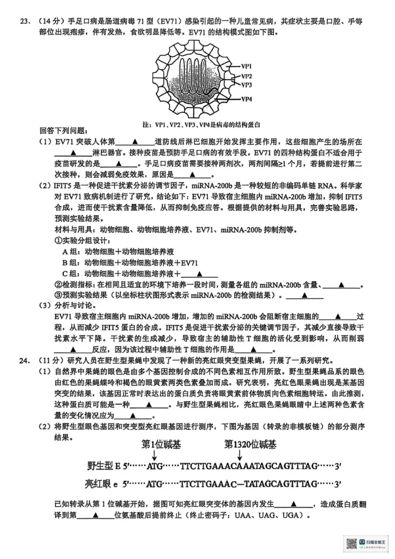 浙江省91联盟2025-2026学年高二上学期11月期中生物试题_251203浙江省9+1联盟2025-2026学年高二上学期期中考试（全）