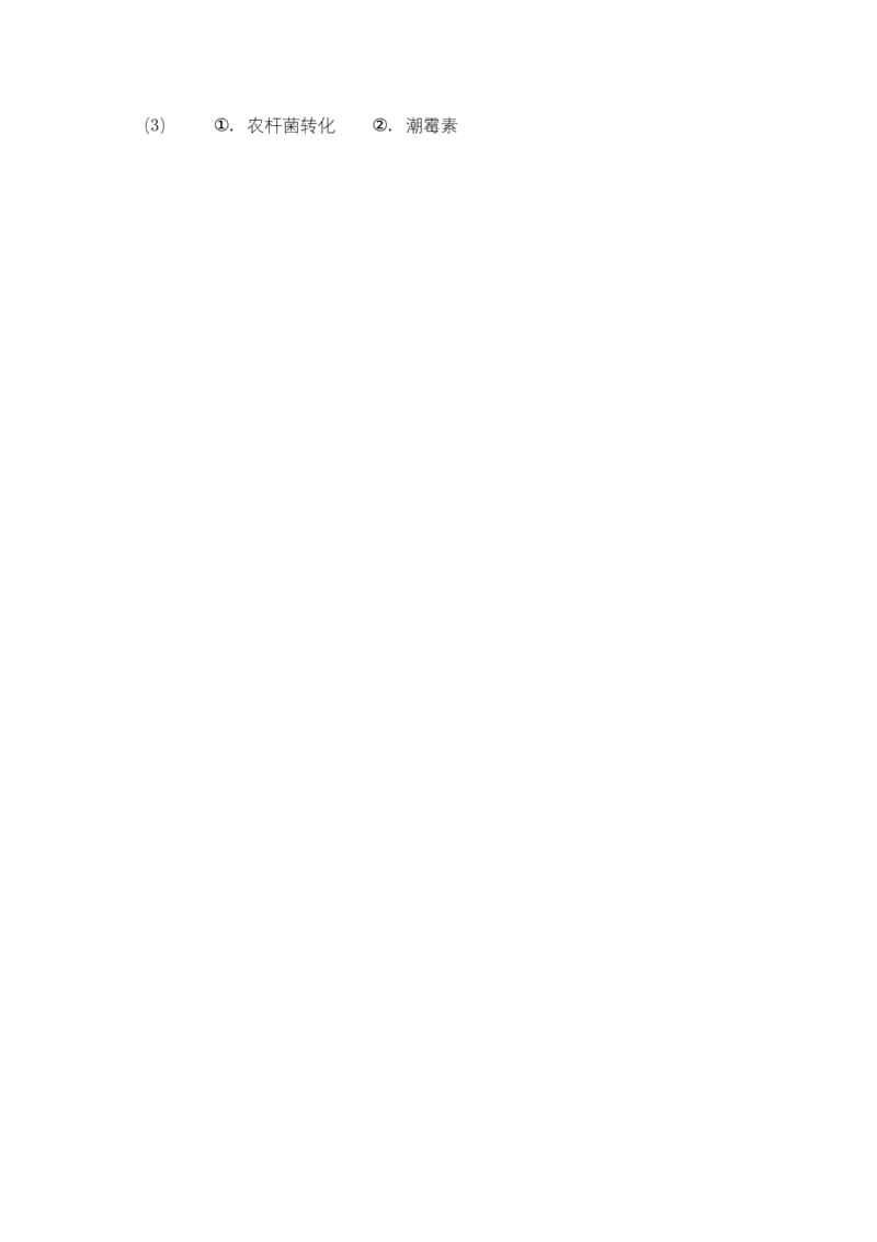 河北省邢台市名校协作体2024-2025学年高二下学期4月期中考试生物试题Word版含答案_2024-2025高二（7-7月题库）_2025年04月试卷(1)