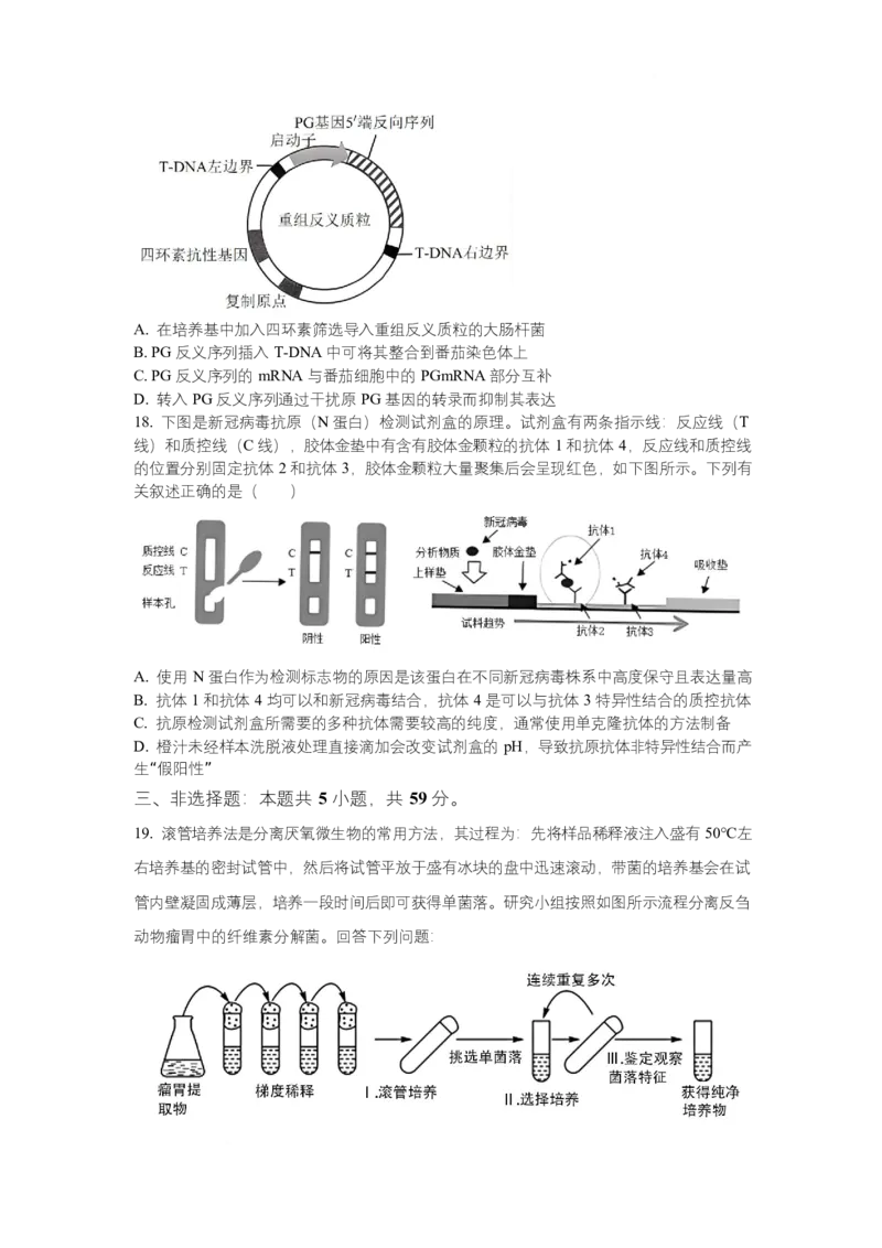 河北省邢台市名校协作体2024-2025学年高二下学期4月期中考试生物试题Word版含答案_2024-2025高二（7-7月题库）_2025年04月试卷(1)