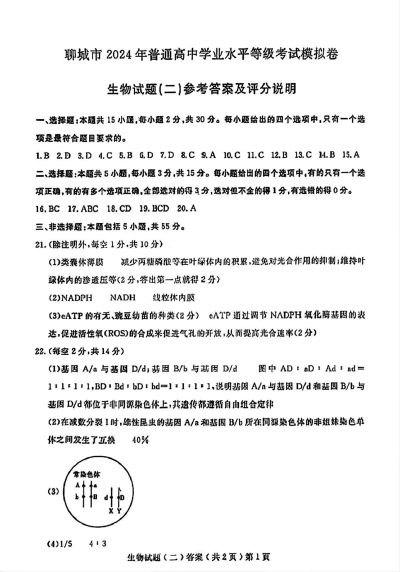 聊城二模生物试题答案（清晰版）_2024年4月_01按日期_20号_2024届山东省聊城市高三下学期二模_24聊城二模生物