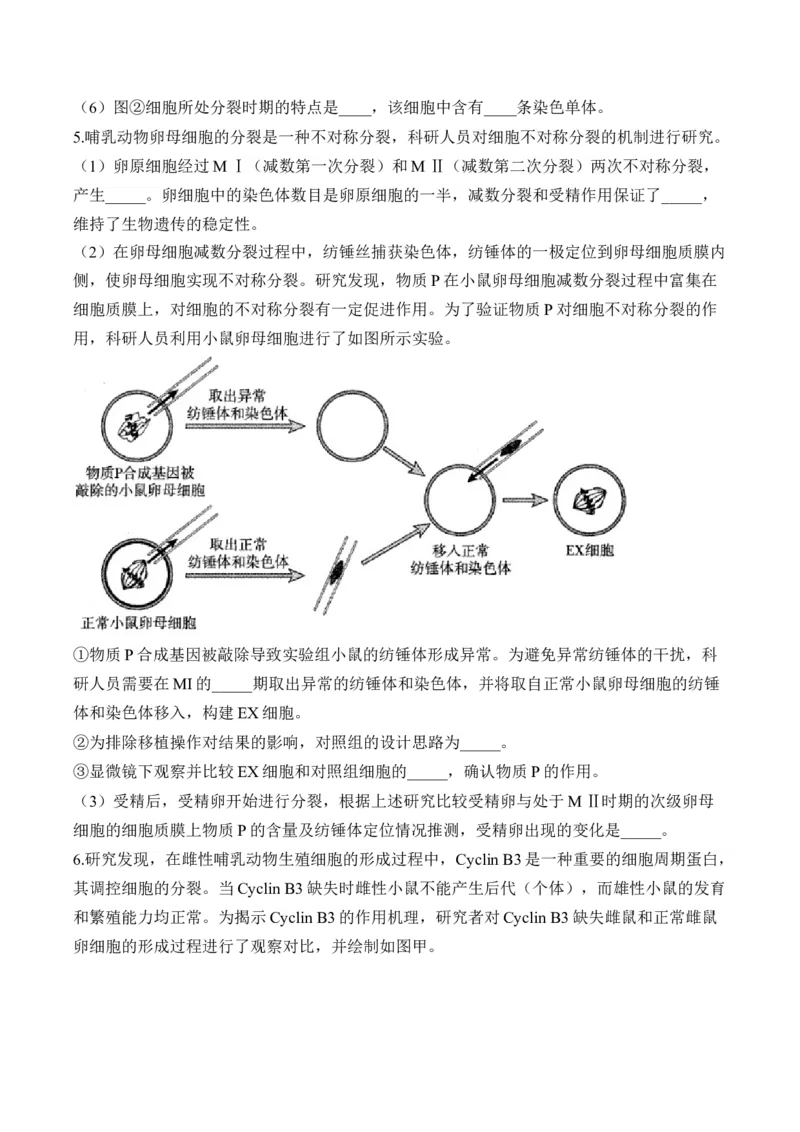 专题5遗传的细胞学基础（非选择题）&mdash;&mdash;高考生物学模块分练新高考版（含解析）_2024-2025高三（6-6月题库）_2026年1月高三