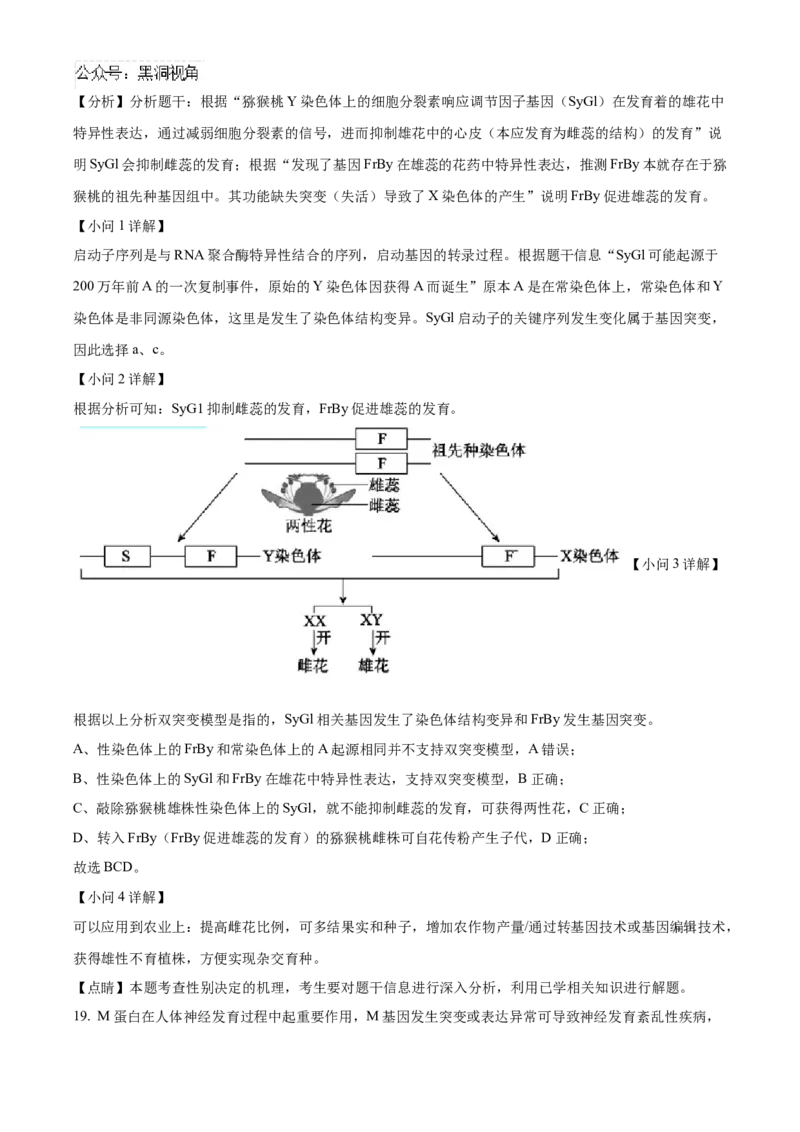 北京市海淀区2024-2025学年高三上学期10月月考生物试卷Word版含解析_2024-2025高三（6-6月题库）_2024年10月试卷_1030北京市海淀区2024-2025学年高三上学期10月考试