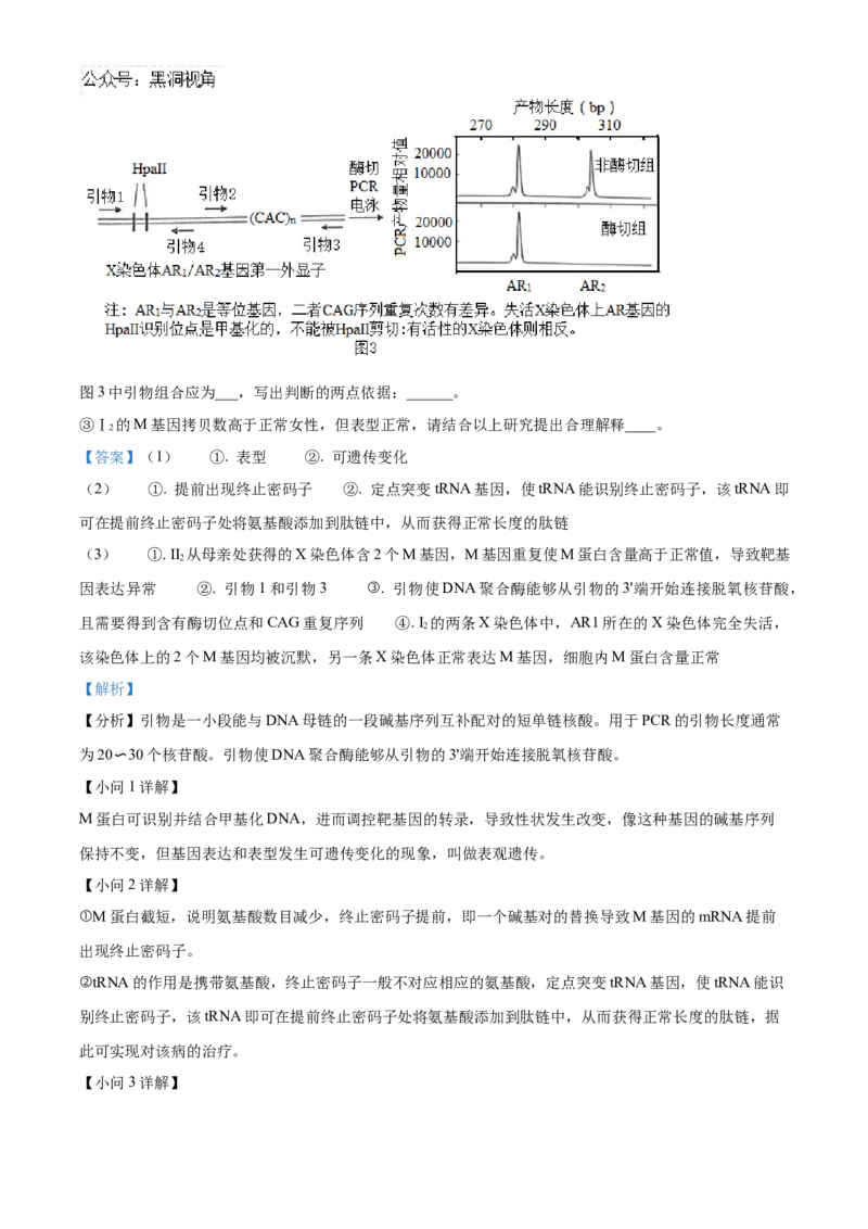 北京市海淀区2024-2025学年高三上学期10月月考生物试卷Word版含解析_2024-2025高三（6-6月题库）_2024年10月试卷_1030北京市海淀区2024-2025学年高三上学期10月考试