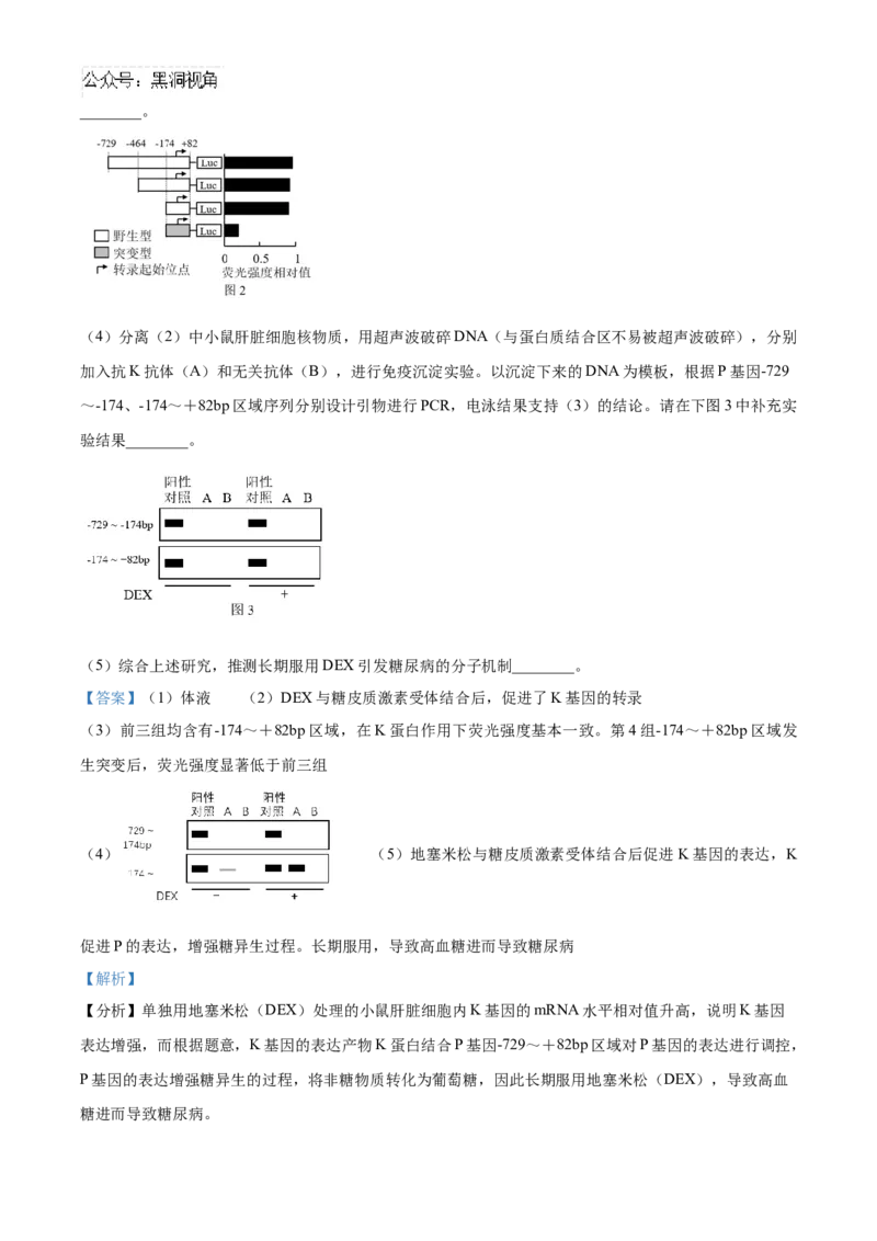 北京市海淀区2024-2025学年高三上学期10月月考生物试卷Word版含解析_2024-2025高三（6-6月题库）_2024年10月试卷_1030北京市海淀区2024-2025学年高三上学期10月考试
