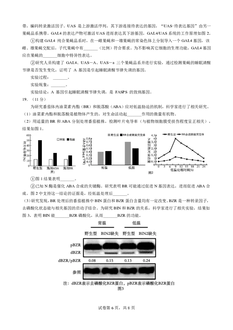 广东省2025届高三生物一调模拟卷（试题）_2024-2025高三（6-6月题库）_2024年08月试卷_08082025届广东省普通高中毕业班调研考试（一）_08102025届广东省普通高中毕业班第一次调研考试