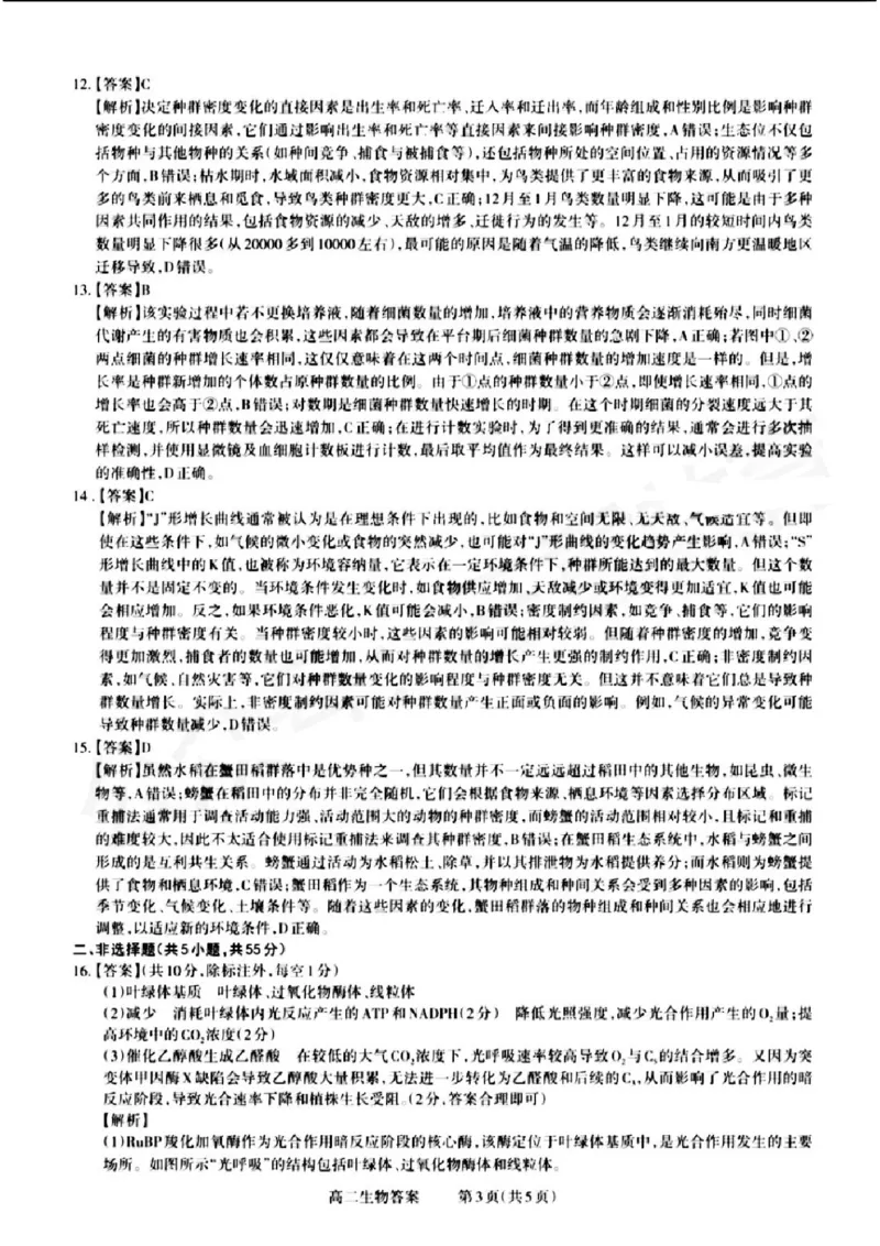 山西省晋城市2024-2025学年高二上学期12月月考试题生物PDF版含解析_2024-2025高二（7-7月题库）_2024年12月试卷_1222山西省晋城市2024-2025学年高二上学期12月月考