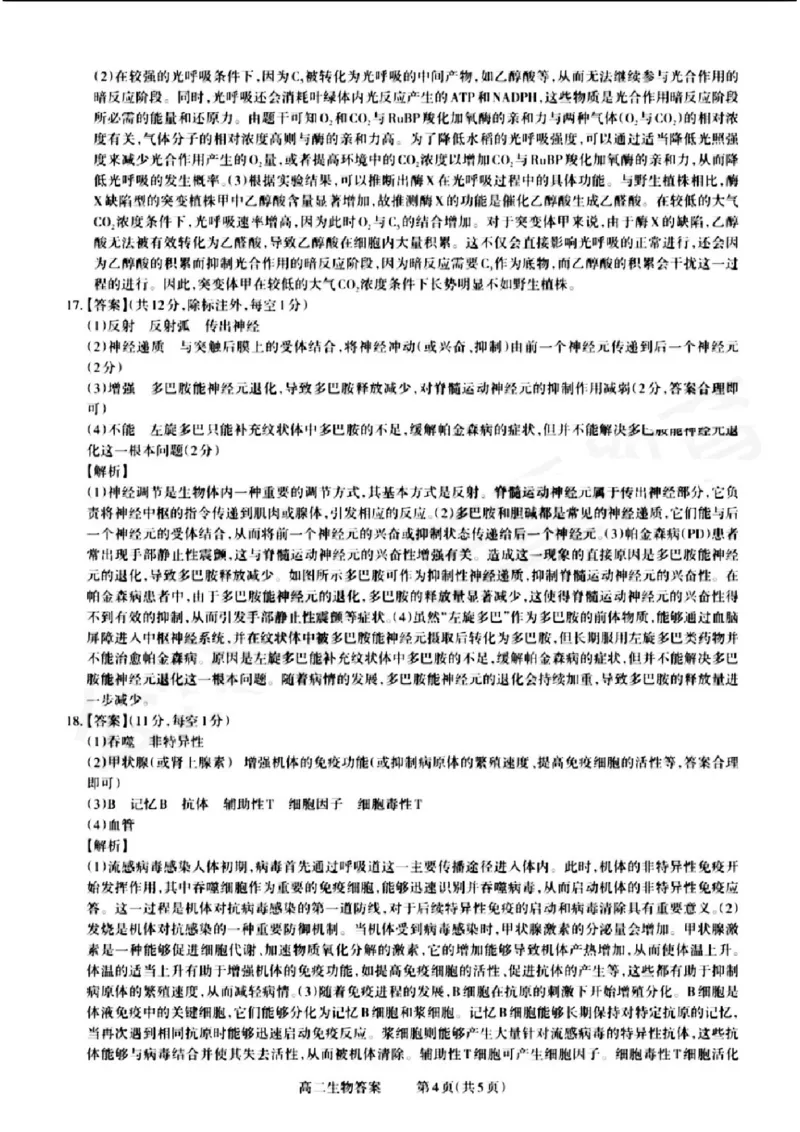 山西省晋城市2024-2025学年高二上学期12月月考试题生物PDF版含解析_2024-2025高二（7-7月题库）_2024年12月试卷_1222山西省晋城市2024-2025学年高二上学期12月月考