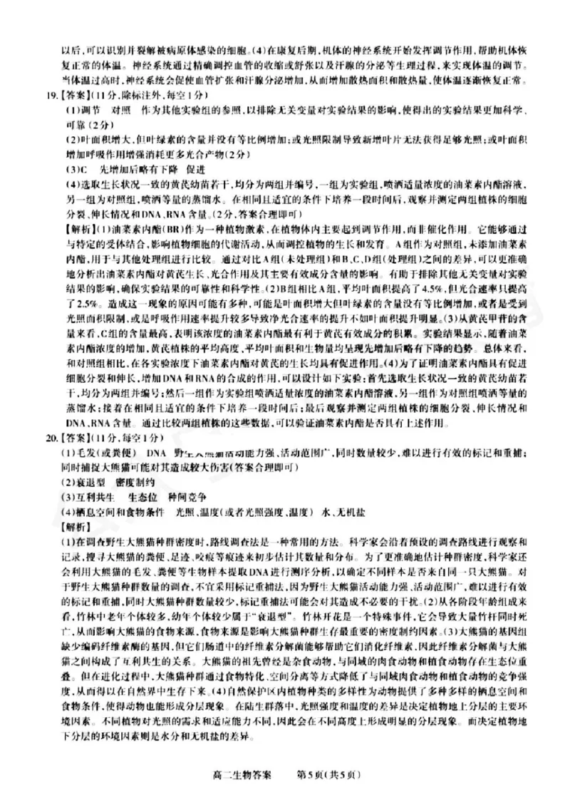 山西省晋城市2024-2025学年高二上学期12月月考试题生物PDF版含解析_2024-2025高二（7-7月题库）_2024年12月试卷_1222山西省晋城市2024-2025学年高二上学期12月月考