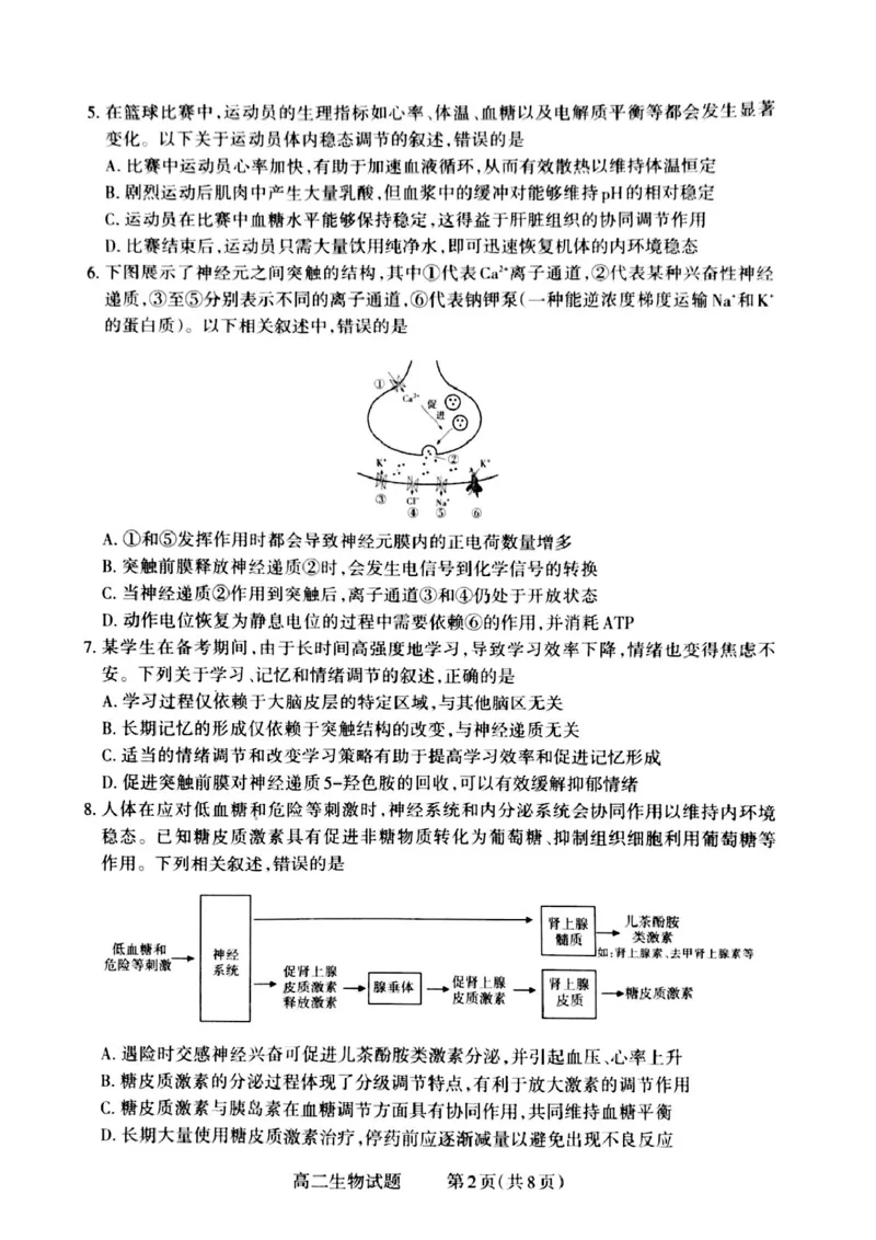 山西省晋城市2024-2025学年高二上学期12月月考试题生物PDF版含解析_2024-2025高二（7-7月题库）_2024年12月试卷_1222山西省晋城市2024-2025学年高二上学期12月月考
