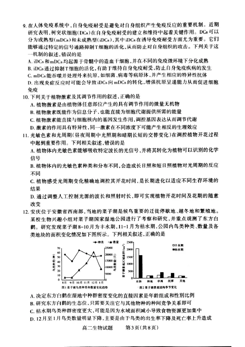 山西省晋城市2024-2025学年高二上学期12月月考试题生物PDF版含解析_2024-2025高二（7-7月题库）_2024年12月试卷_1222山西省晋城市2024-2025学年高二上学期12月月考