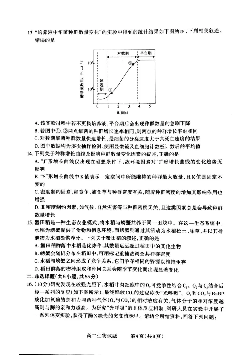 山西省晋城市2024-2025学年高二上学期12月月考试题生物PDF版含解析_2024-2025高二（7-7月题库）_2024年12月试卷_1222山西省晋城市2024-2025学年高二上学期12月月考