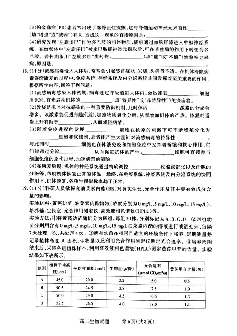 山西省晋城市2024-2025学年高二上学期12月月考试题生物PDF版含解析_2024-2025高二（7-7月题库）_2024年12月试卷_1222山西省晋城市2024-2025学年高二上学期12月月考