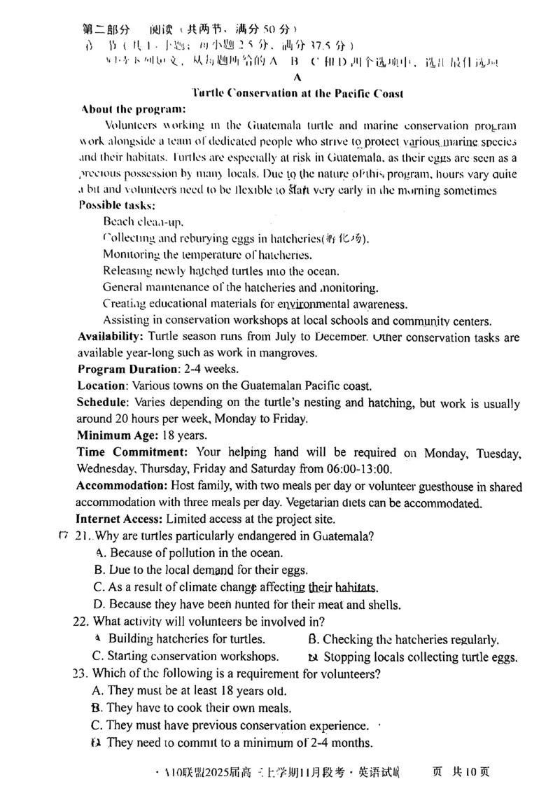 安徽A10联盟2025届高三上学期11月段考英语(含答案)_2024-2025高三（6-6月题库）_2024年11月试卷_1116安徽A10联盟2025届高三上学期11月段考（全科）