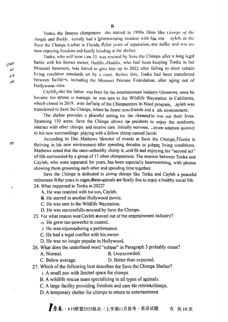 安徽A10联盟2025届高三上学期11月段考英语(含答案)_2024-2025高三（6-6月题库）_2024年11月试卷_1116安徽A10联盟2025届高三上学期11月段考（全科）