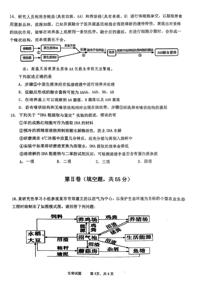 四川省泸州市泸县高中共同体2024-2025学年高二下学期4月期中联考试题生物PDF版含答案_2024-2025高二（7-7月题库）_2025年05月试卷
