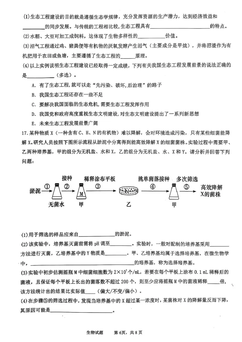 四川省泸州市泸县高中共同体2024-2025学年高二下学期4月期中联考试题生物PDF版含答案_2024-2025高二（7-7月题库）_2025年05月试卷
