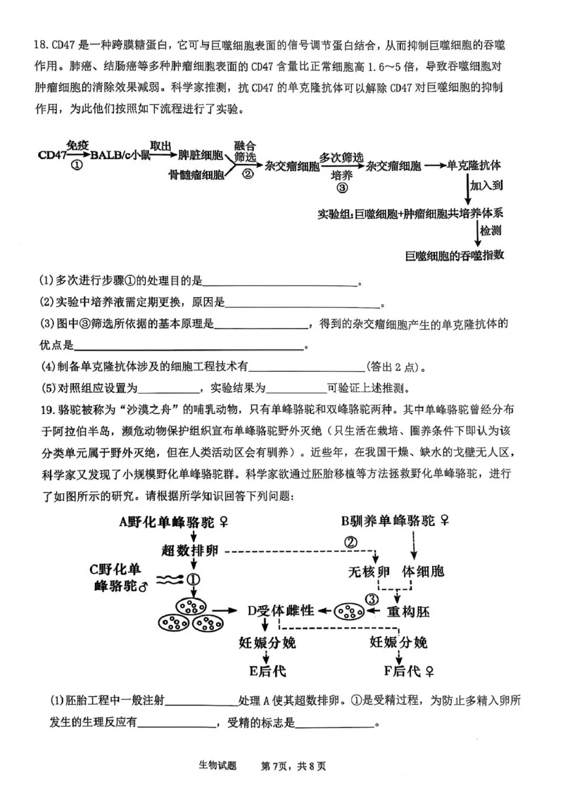 四川省泸州市泸县高中共同体2024-2025学年高二下学期4月期中联考试题生物PDF版含答案_2024-2025高二（7-7月题库）_2025年05月试卷