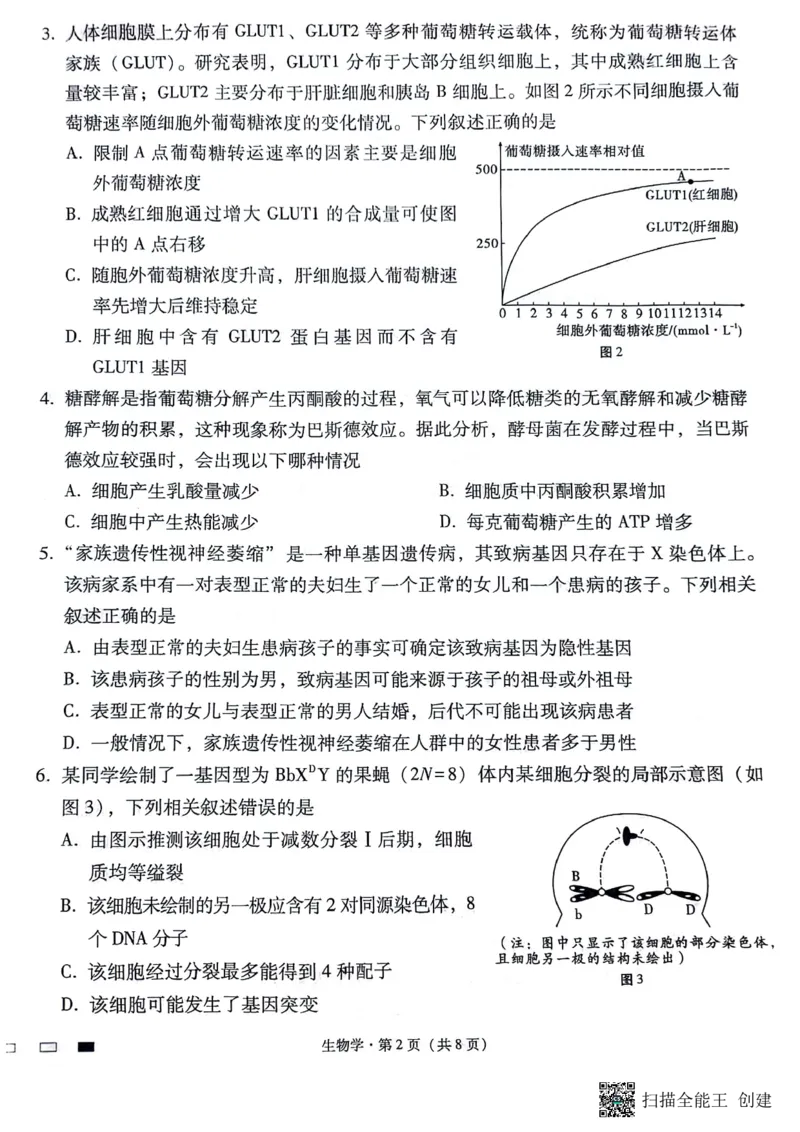 贵阳第一中学2024届高考适应性月考（八）生物学_2024年5月_01按日期_28号_2024届贵州省贵阳一中高三下学期高考适应性月考卷（八）