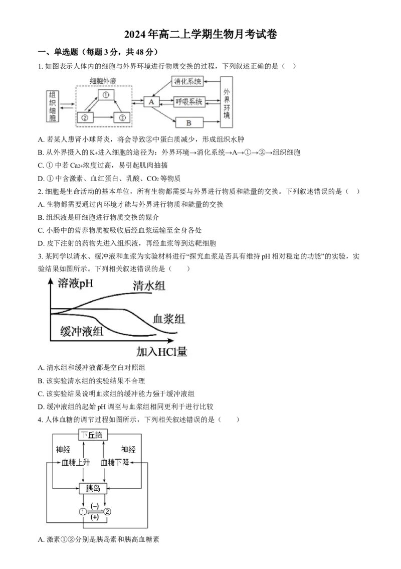 湖南省岳阳市岳阳县第一中学2024-2025学年高二上学期12月月考生物试题（原卷版）_2024-2025高二（7-7月题库）_2025年01月试卷