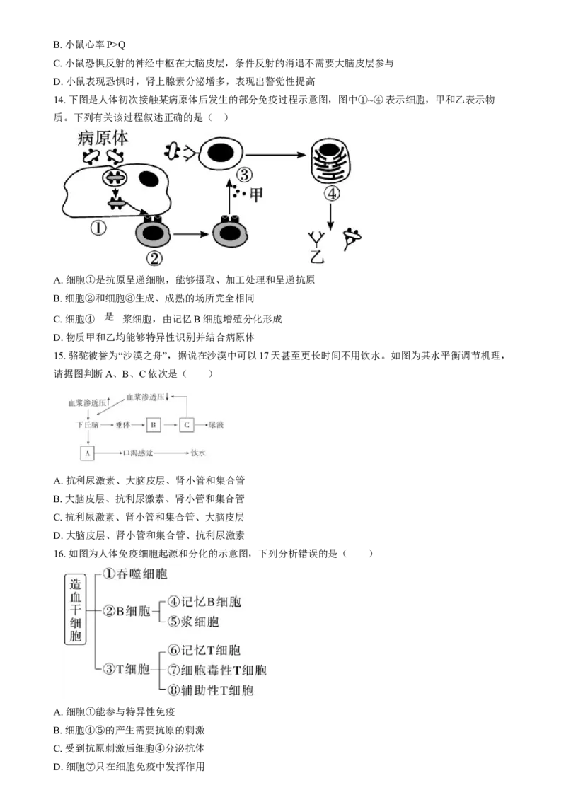 湖南省岳阳市岳阳县第一中学2024-2025学年高二上学期12月月考生物试题（原卷版）_2024-2025高二（7-7月题库）_2025年01月试卷