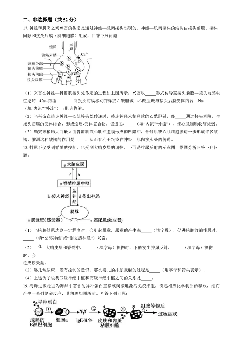 湖南省岳阳市岳阳县第一中学2024-2025学年高二上学期12月月考生物试题（原卷版）_2024-2025高二（7-7月题库）_2025年01月试卷